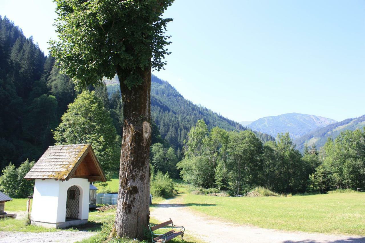 Chalet Ferienhaus Radmer Radmer an der Hasel Zewnętrze zdjęcie